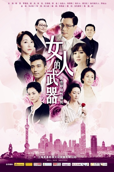 女人的武器的海报-正式海报