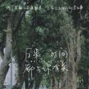 后来时间都与你有关