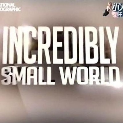 小人物狂想曲的海报-正式海报