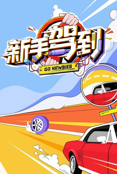 新手驾到的海报-正式海报