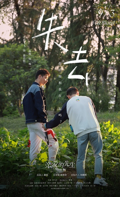 亲爱的先生的海报-正式海报