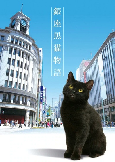 银座黑猫物语的海报-正式海报