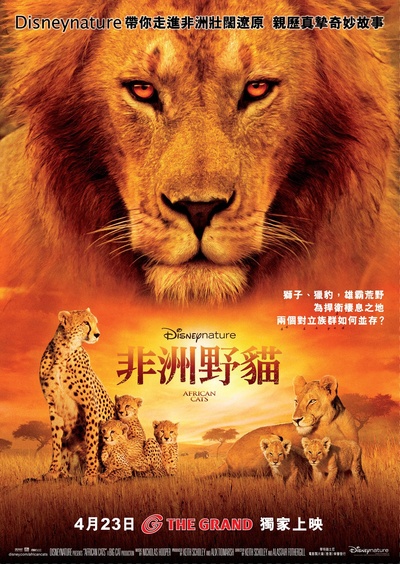 非洲猫科的海报-正式海报