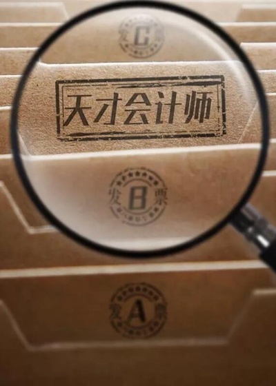 天才会计师的海报-预告海报 中国大陆