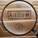天才会计师