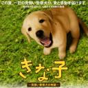 实习警犬物语