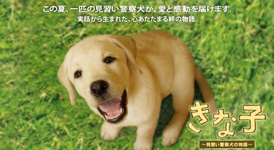 实习警犬物语的海报-预告海报