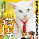 猫侍：玉之丞进军江户