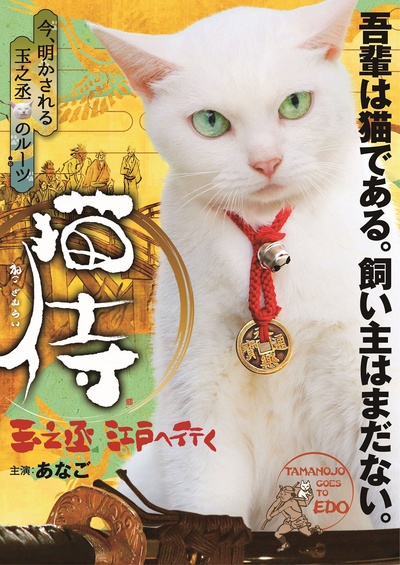 猫侍：玉之丞进军江户的海报-预告海报 日本