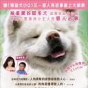 秋田犬蓬夫