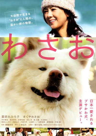 秋田犬蓬夫的海报-正式海报 日本