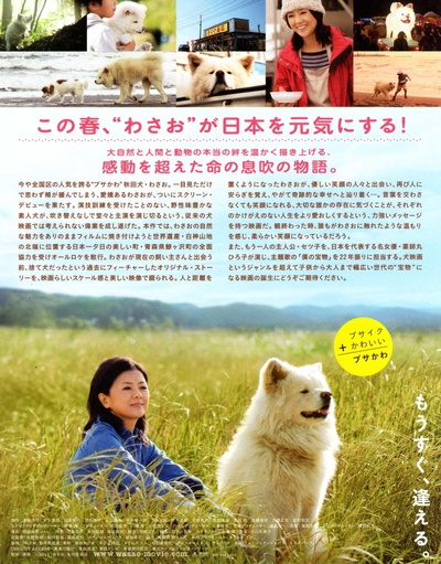 秋田犬蓬夫的海报-其他海报 日本