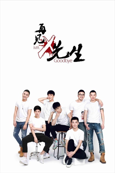 再见x先生的海报-正式海报