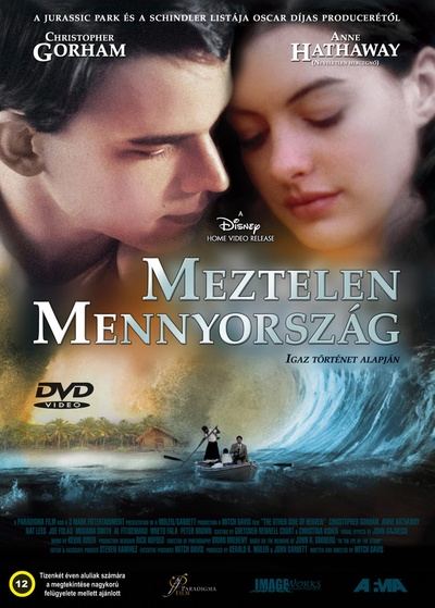 天堂的彼端的海报-其他海报 DVD封套