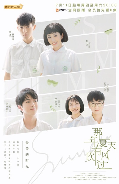 那年夏天有风吹过的海报-正式海报