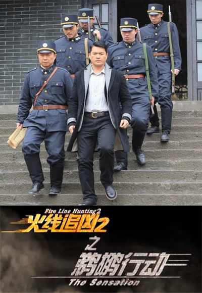 火线追凶2之鹈鹕行动的海报-正式海报