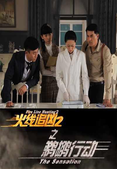 火线追凶2之鹈鹕行动的海报-正式海报