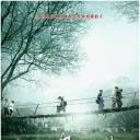 雨中的树