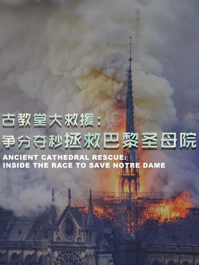 古教堂大救援：争分夺秒拯救巴黎圣母院的海报-正式海报