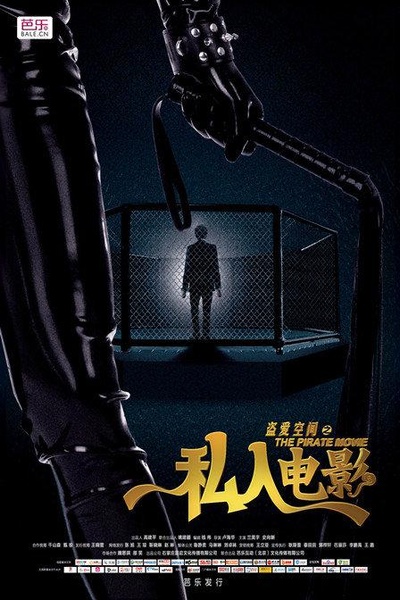 盗爱空间之私人电影的海报-正式海报