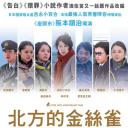 北方的金丝雀