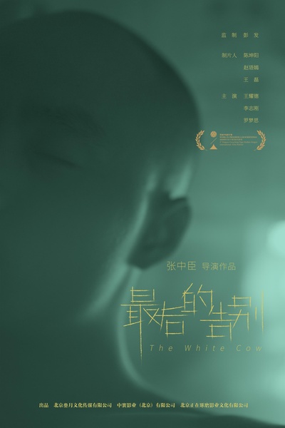最后的告别的海报-正式海报