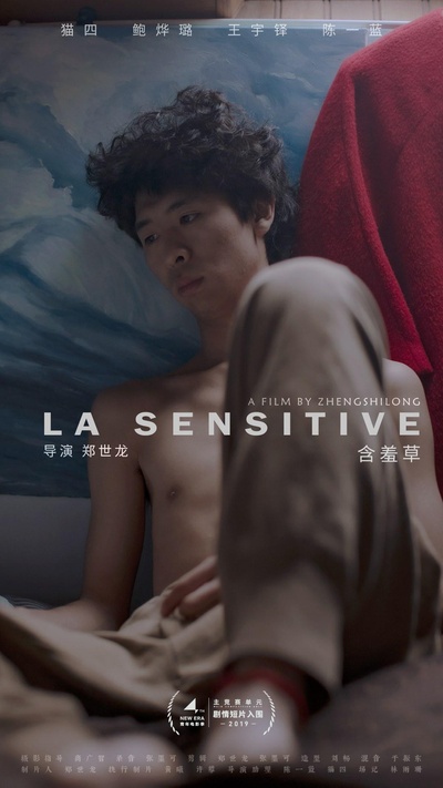 含羞草的海报-正式海报 中国大陆