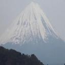 青木原森林