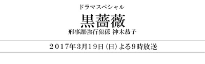 黑蔷薇：刑事课强行犯系神木恭子的海报-预告海报 日本