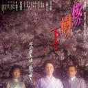 樱花树下