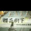 樱花树下：日本自卫队全观察