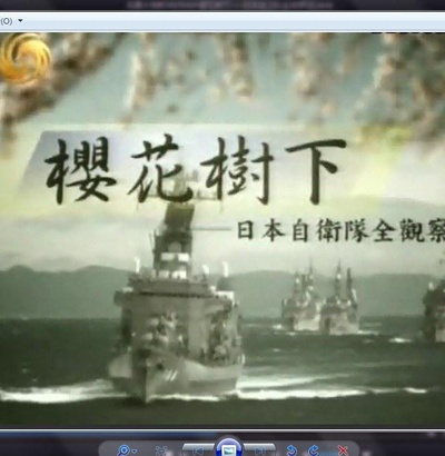 樱花树下：日本自卫队全观察的海报-正式海报