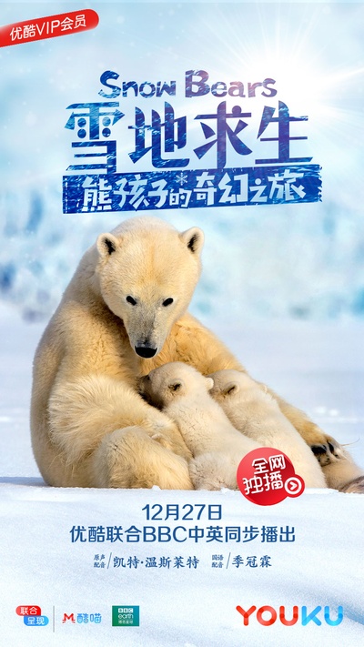 雪地求生：熊孩子的奇幻之旅的海报-正式海报 中国大陆