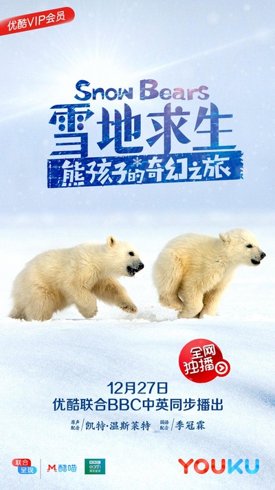 雪地求生：熊孩子的奇幻之旅的海报-正式海报