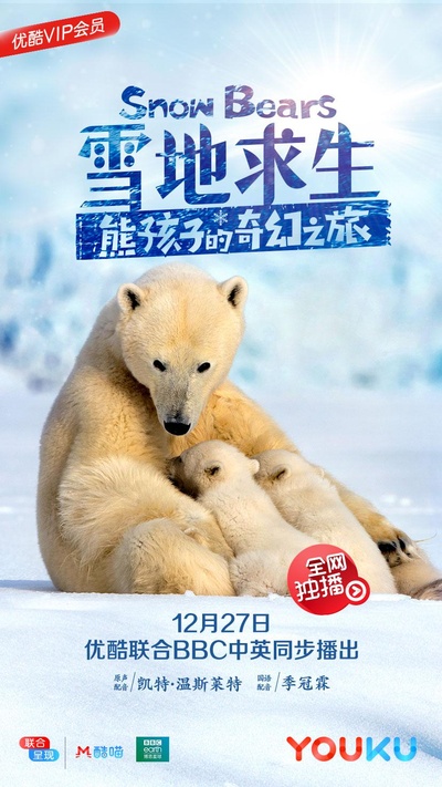 雪地求生：熊孩子的奇幻之旅的海报-正式海报