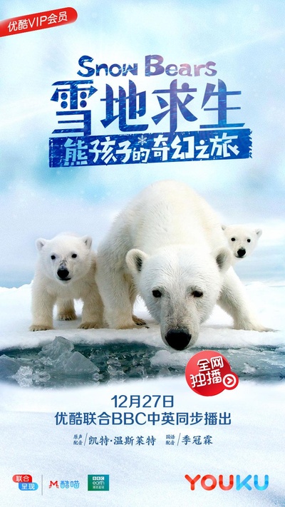 雪地求生：熊孩子的奇幻之旅的海报-正式海报