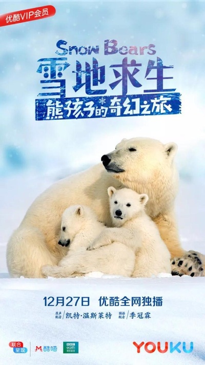 雪地求生：熊孩子的奇幻之旅的海报-正式海报