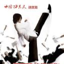 中国功夫史 第二季