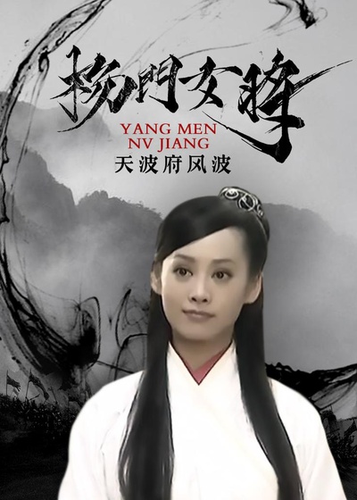 杨门女将之天波府风波的海报-正式海报
