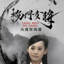 杨门女将之天波府风波
