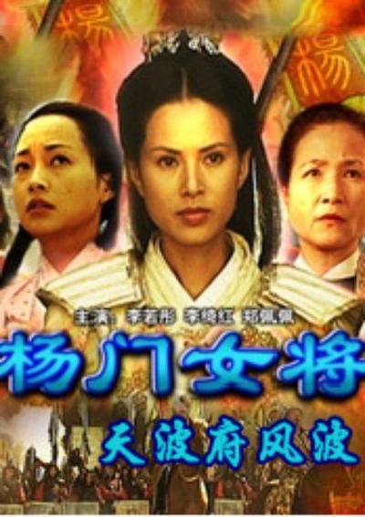 杨门女将之天波府风波的海报-正式海报