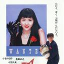 快盗鲁比