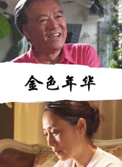 金色年华的海报-正式海报
