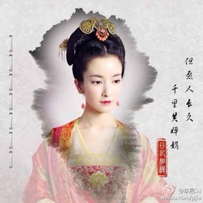 失宠王妃之结缘的海报-角色海报 中国大陆