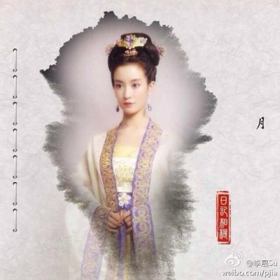 失宠王妃之结缘的海报-角色海报 中国大陆
