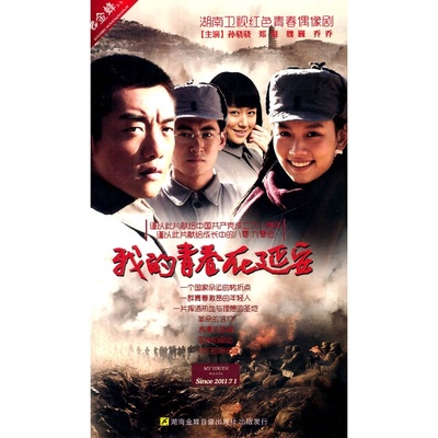 我的青春在延安的海报-正式海报 中国大陆