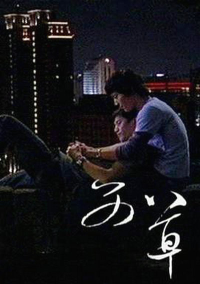 艾草的海报-正式海报 台湾