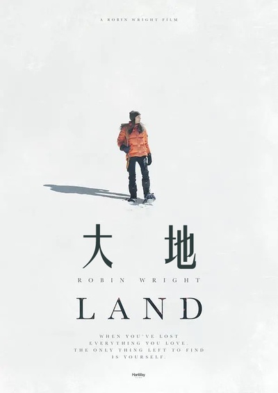 着陆的海报-正式海报 中国大陆