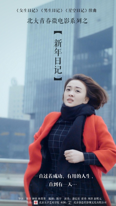 新年日记的海报-正式海报