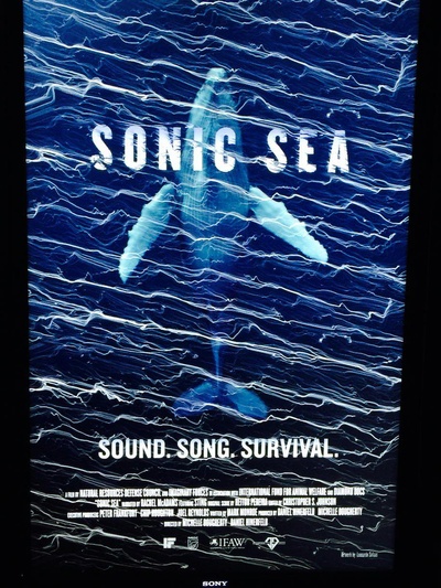 噪音海洋的海报-正式海报